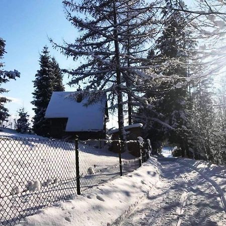 Domek Pod Modrzewiem Nowy Targ Esterno foto