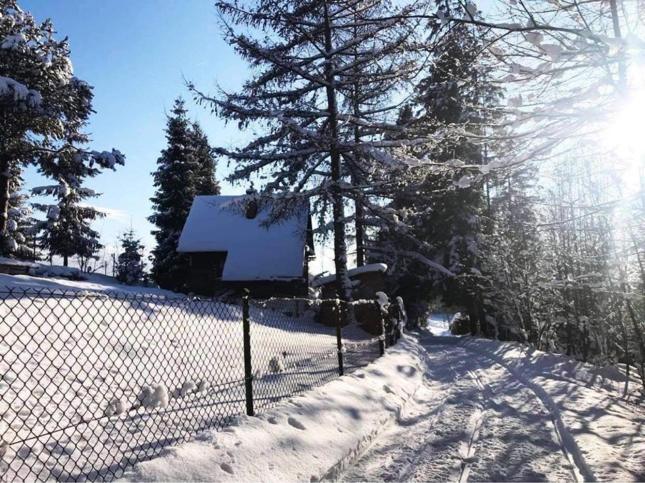 Domek Pod Modrzewiem Nowy Targ Esterno foto